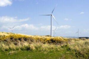 Ortsbasierte Projekte für saubere Energie: Inspiration aus der Nachbarschaft